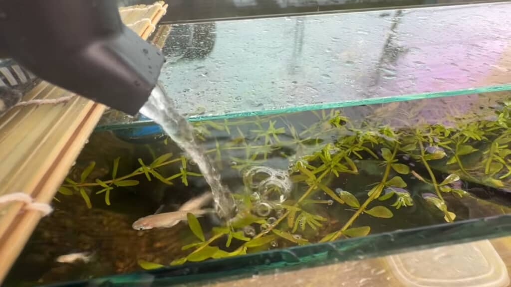 メダカ用水槽のろ過器を自作します
