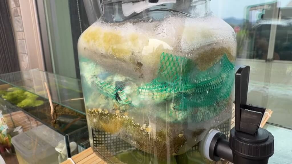 1週間後の様子