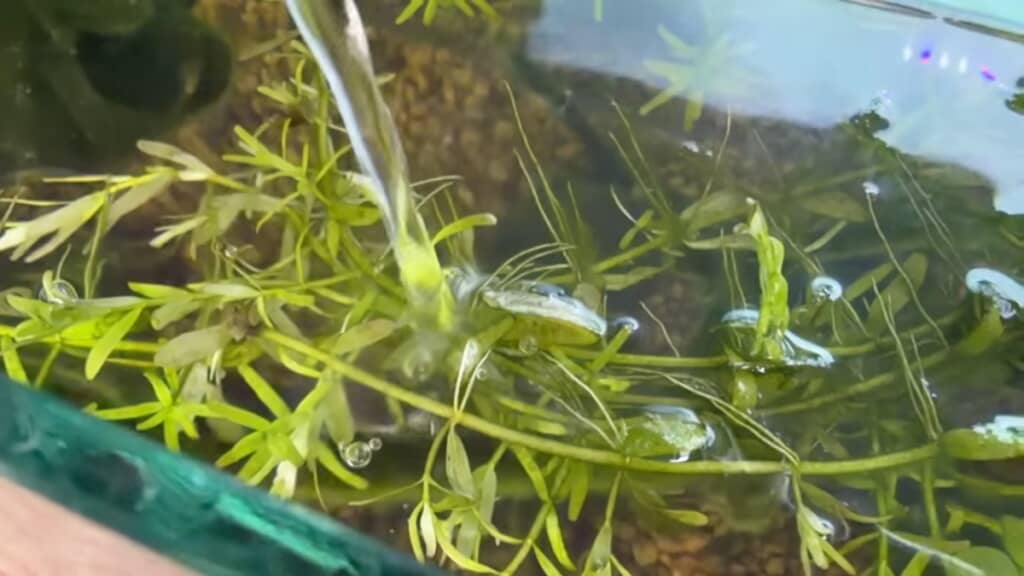 DIYは大成功！
