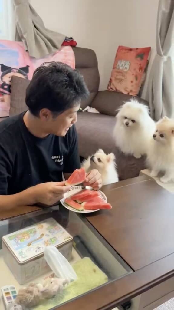 こんな目で見られたらあげたくなっちゃう……!