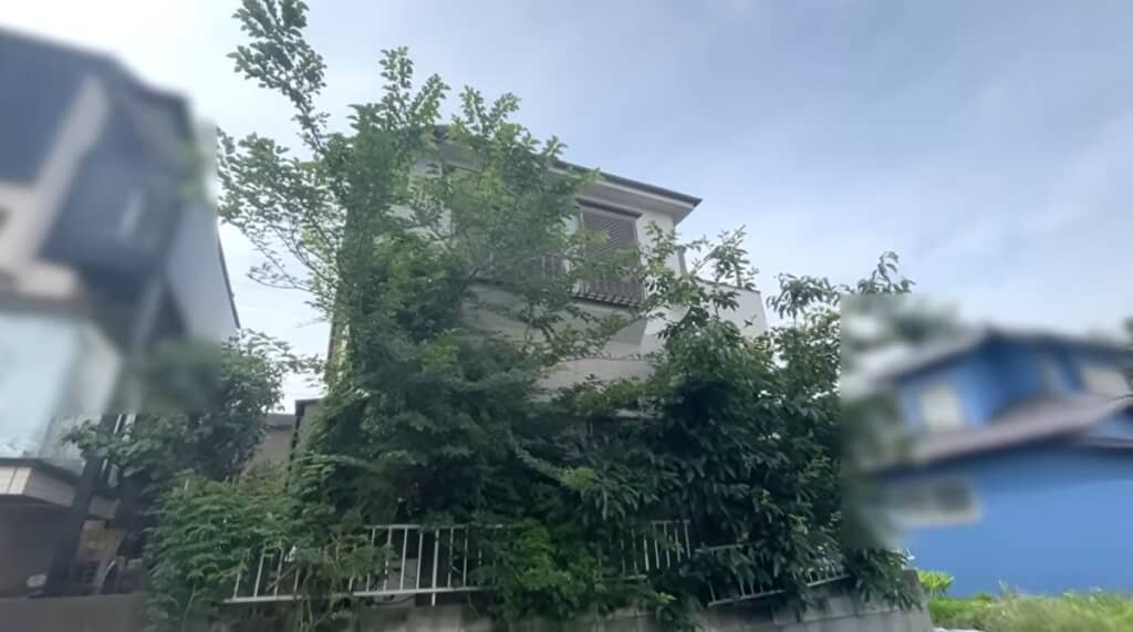 木は屋根にまで届きそう