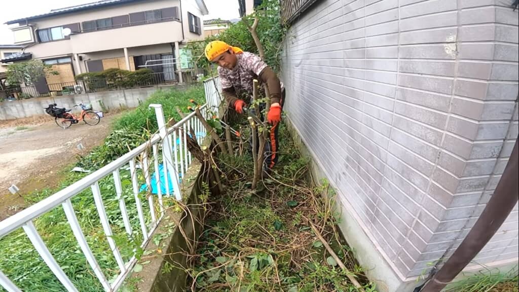 木は生えた状態で細断