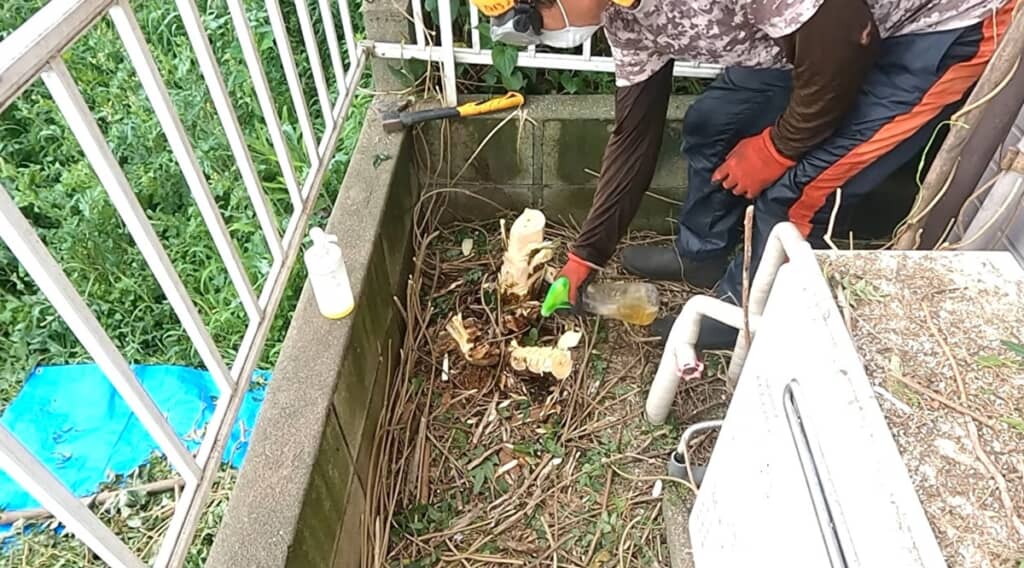 除草剤をしっかりかけます