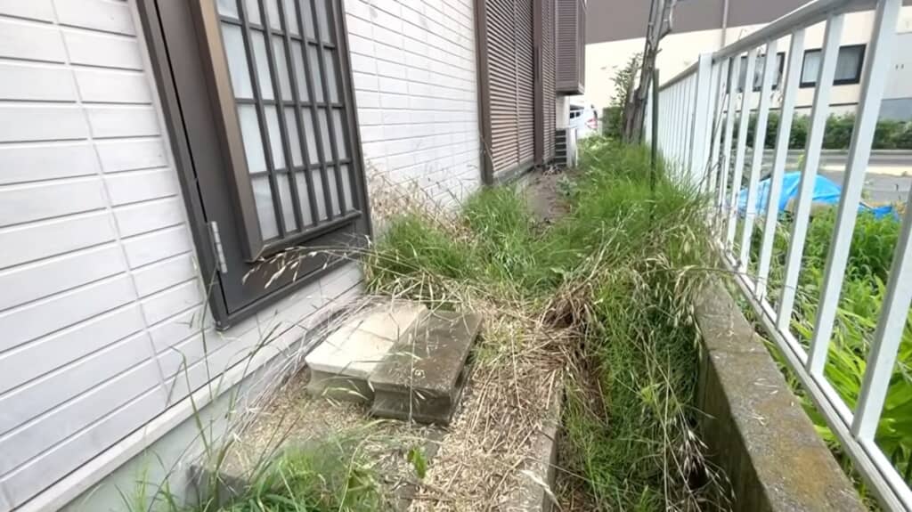 通路の雑草も手ごわそう