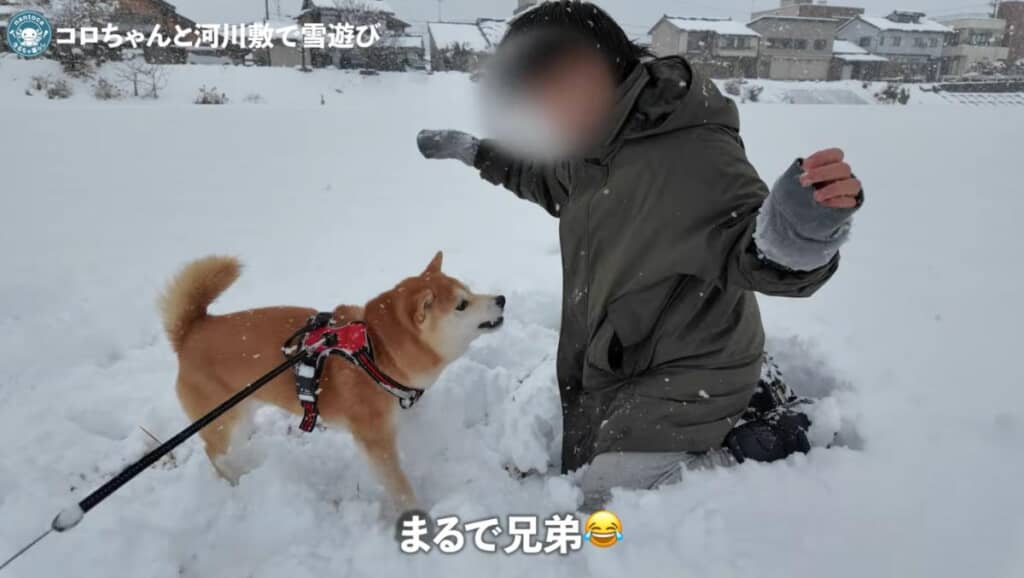 末っ子くんとはまるで兄弟のような関係
