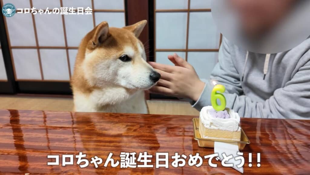 誕生日おめでとう!
