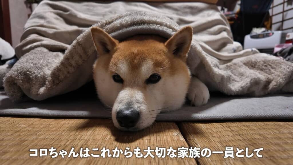 家族にとってなくてはならない存在に