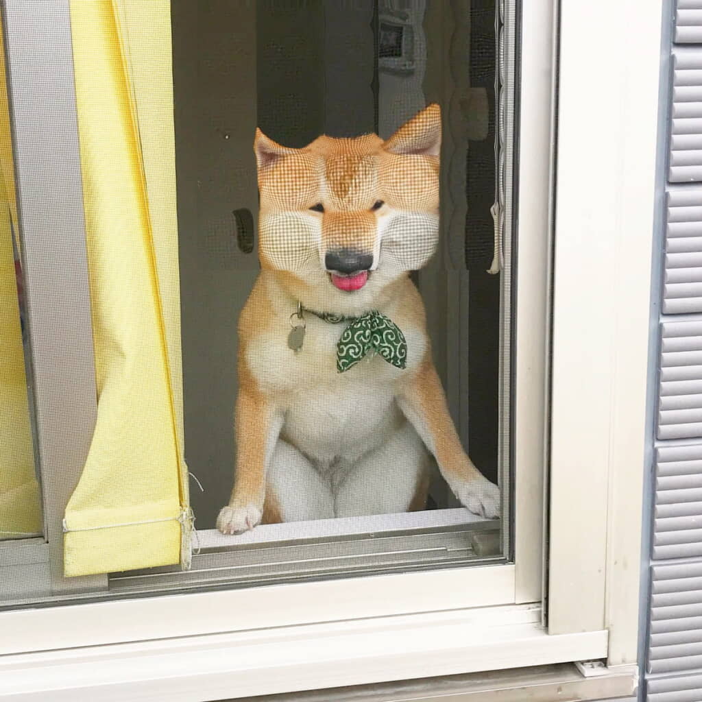 いとおしすぎる……