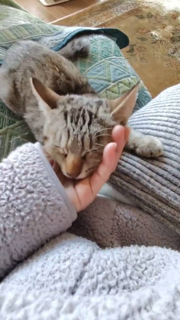 数カ月後には……