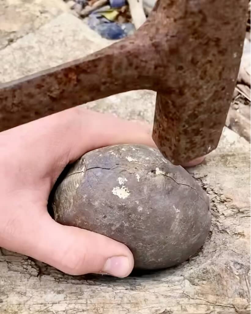 海で見つけた石を割ってみると中から驚くべきものが！