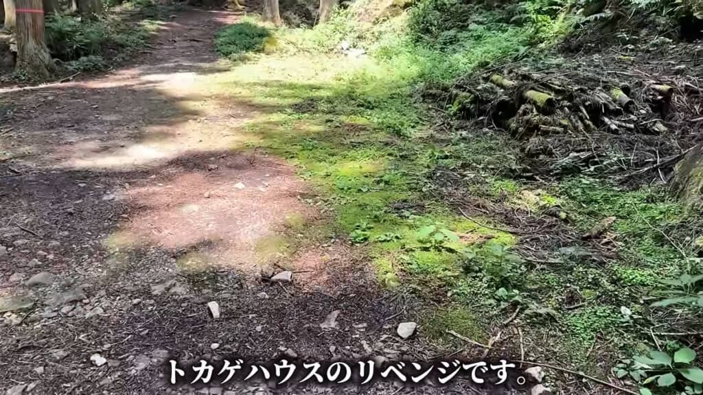 トカゲハウスで飼育するトカゲを探す