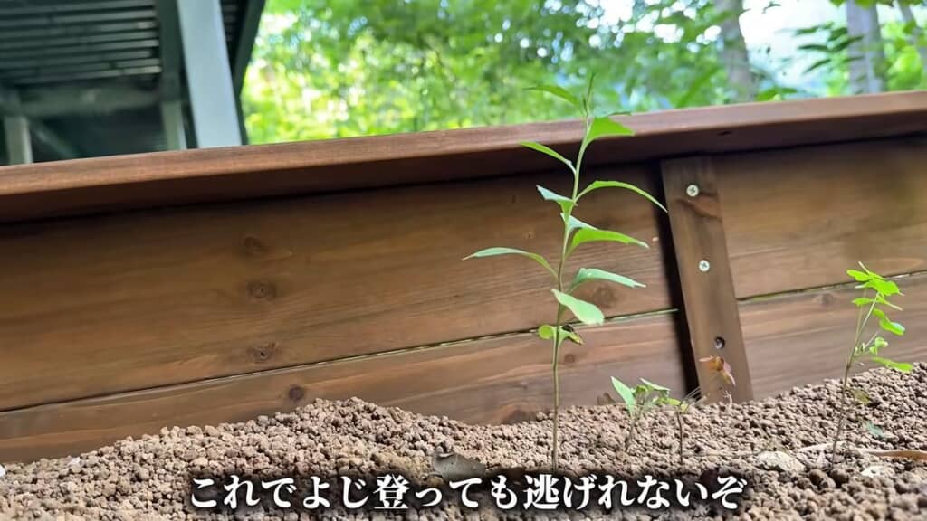 トカゲハウスの壁面上部に取り付けた返し