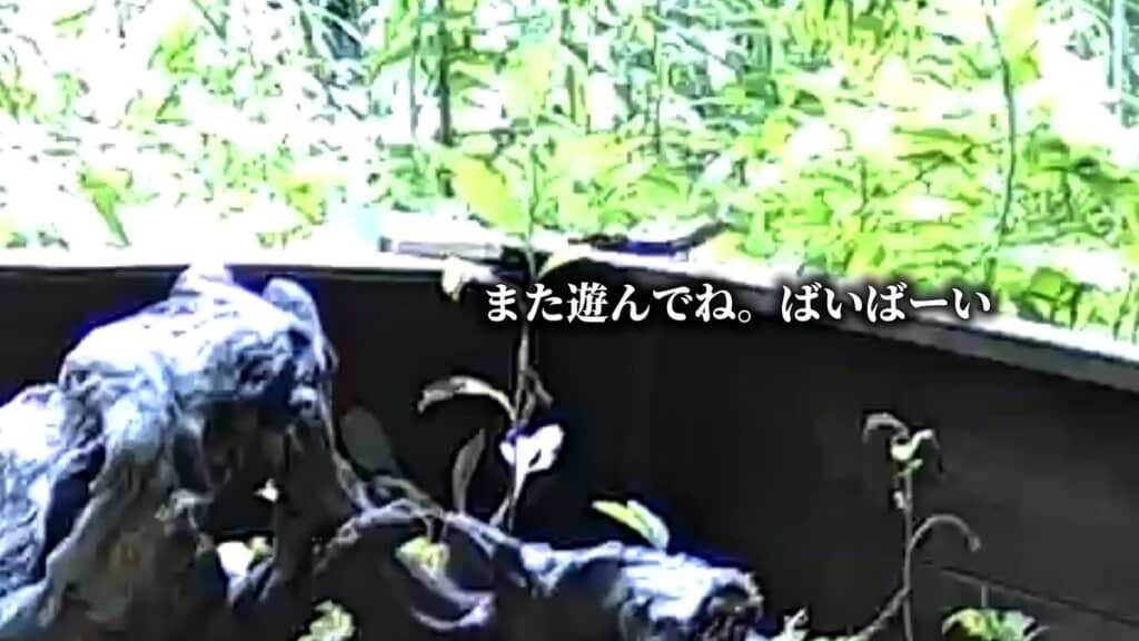 壁を乗り越えて逃走するワムウ