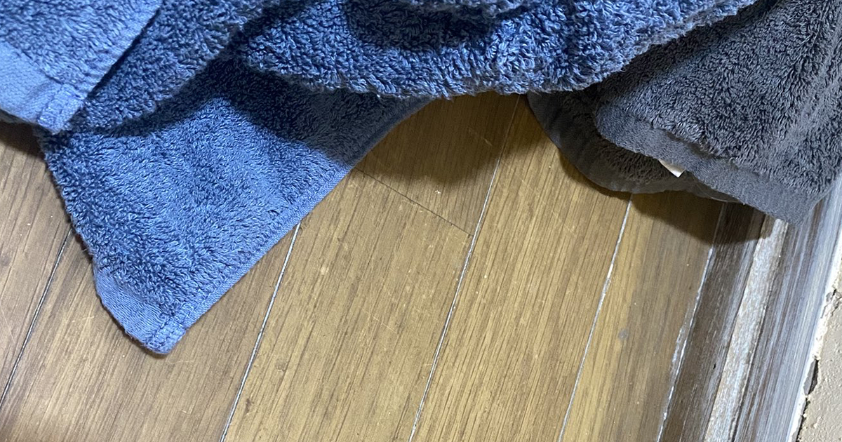洗濯機に服を入れようとした瞬間……「ギャー!!!」 心臓が跳ねる光景に「勘弁して」「泣きそう」(1/3) | その他生き物 ねとらぼ