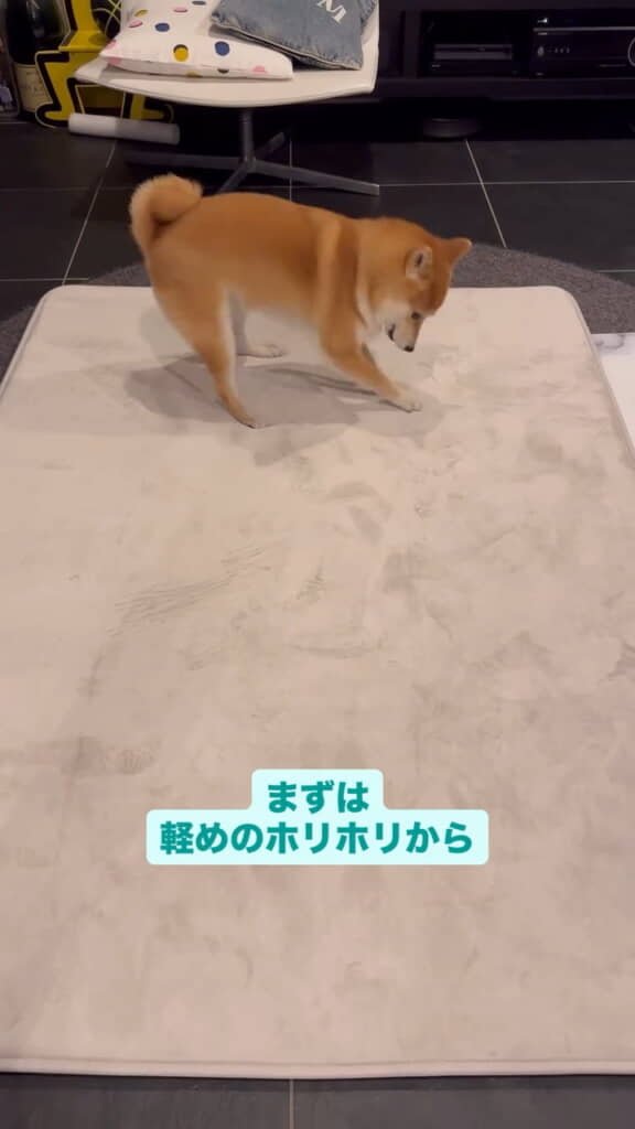 はらみちゃん式耐久テスト開始