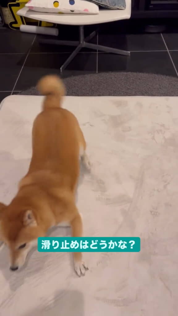 滑り止めもチェック!