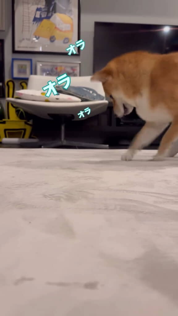 激しいです!