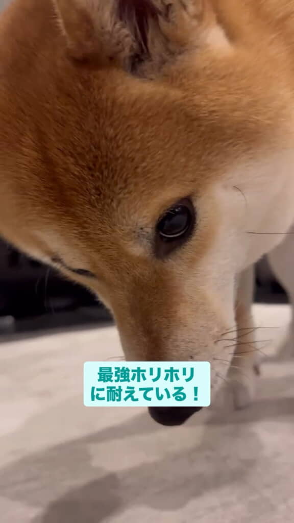 最強ホリホリを耐え抜きました!