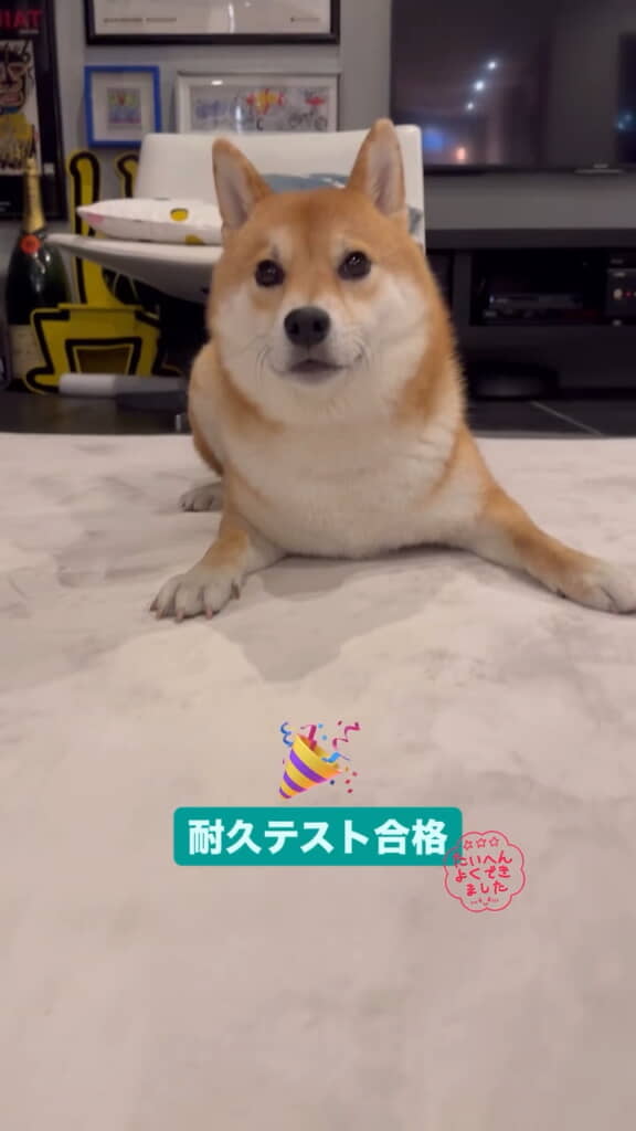 合格です
