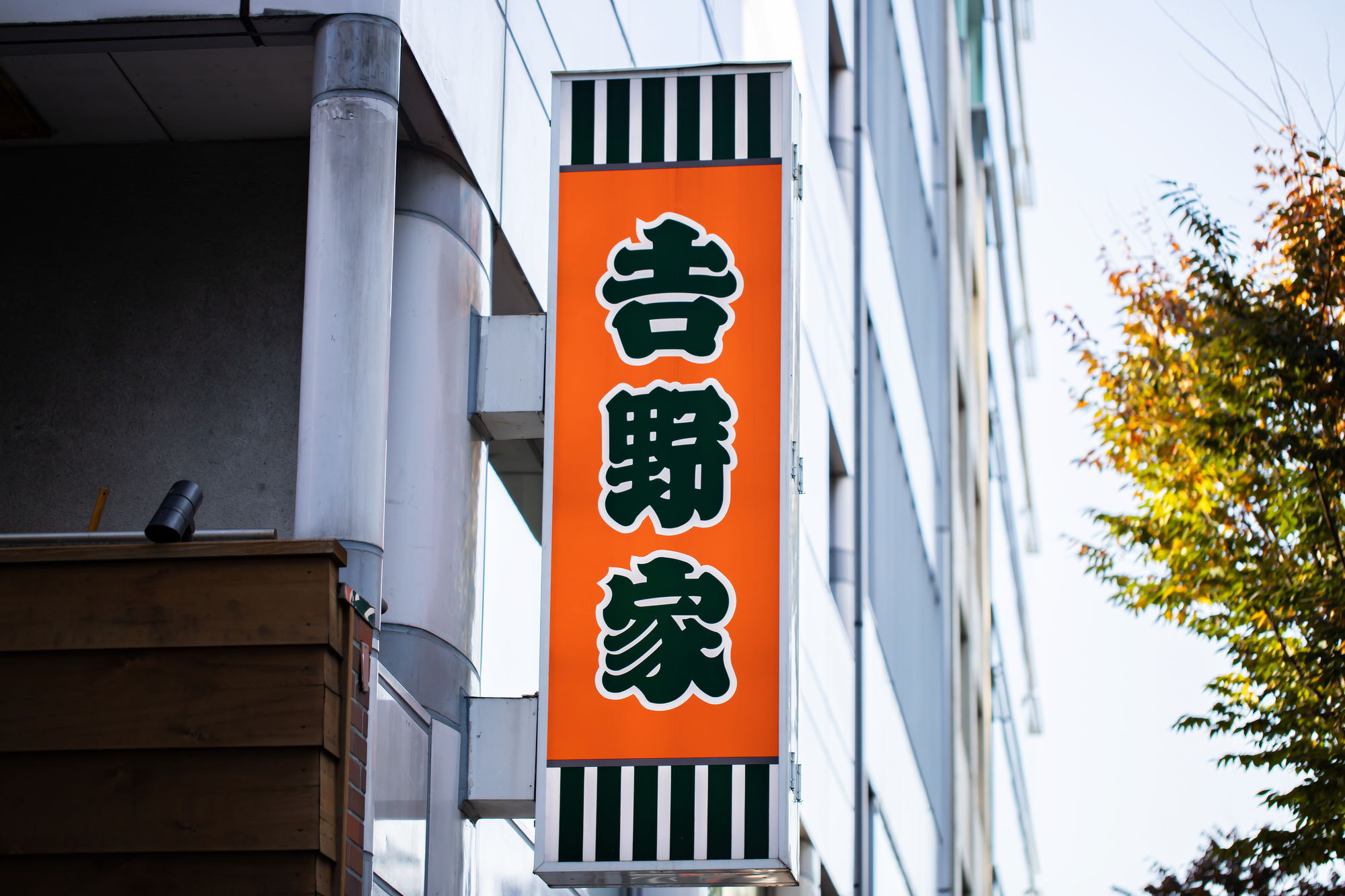 吉野家の新メニュー「牛・金目鯛の煮付け定食」、映画『ちいかわ』とタイミングが重なりSNSで話題に
