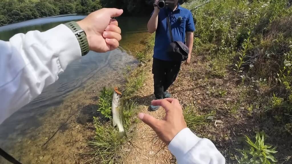 パワーイソメで釣れた小型のバス