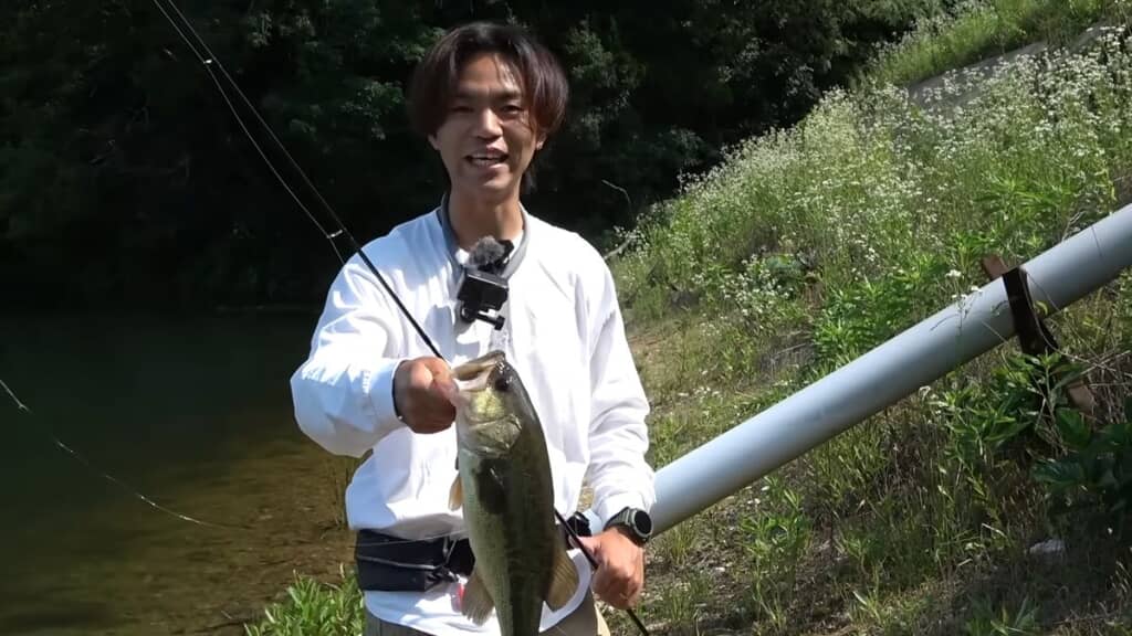パワーイソメで釣れた40センチ級のバス