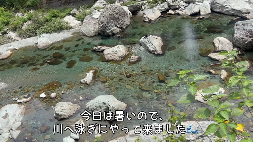美しい川にやってきました