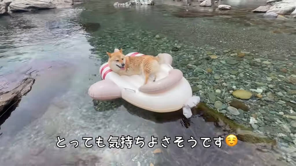 春ちゃんは浮き輪ボートが気に入ったようです