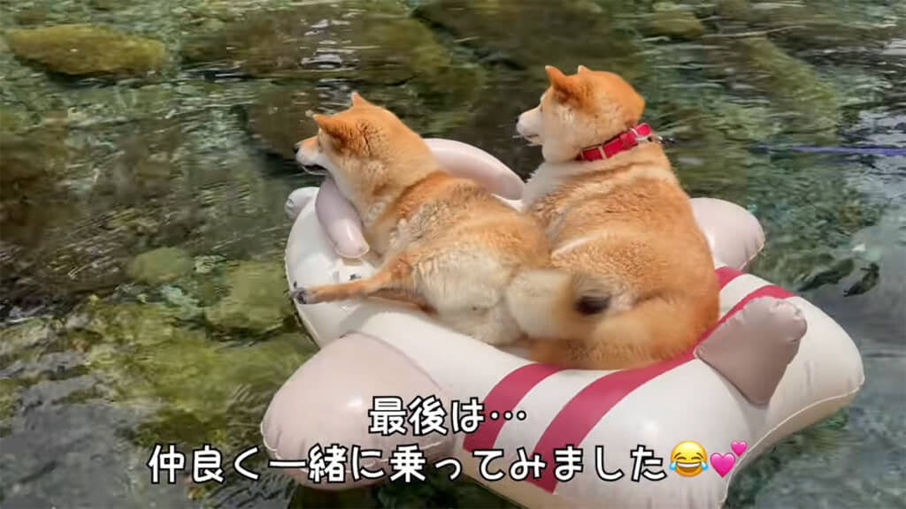 浮き輪ボートを満喫する春ちゃんと福ちゃん