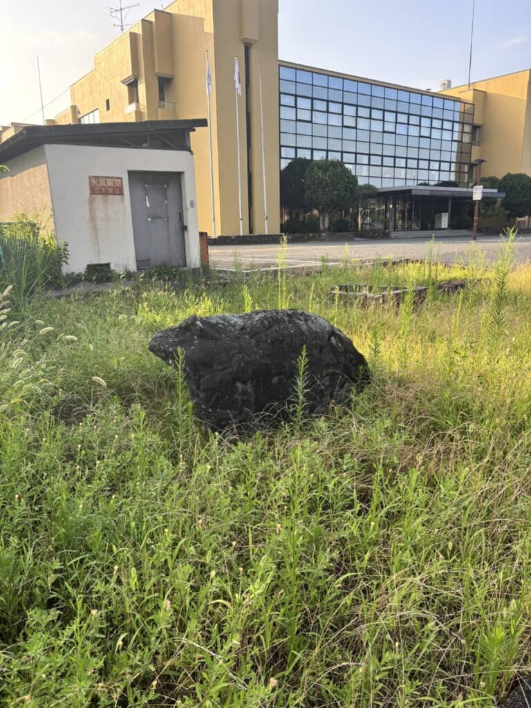 クマに見える岩