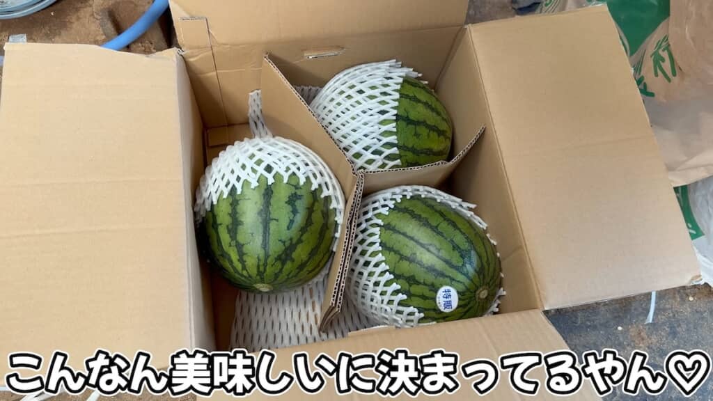 視聴者の人から届いた上等なスイカ