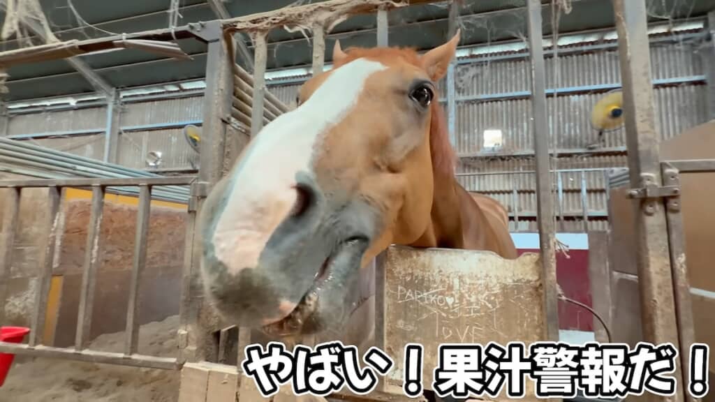 果汁を口からあふれさせながら夢中で食べています