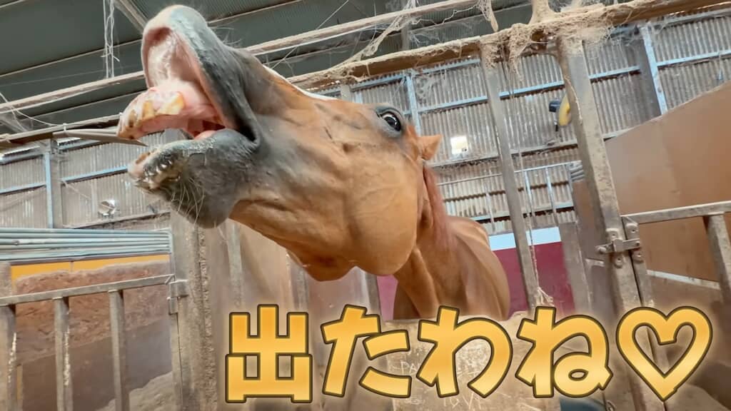 大満足の様子です