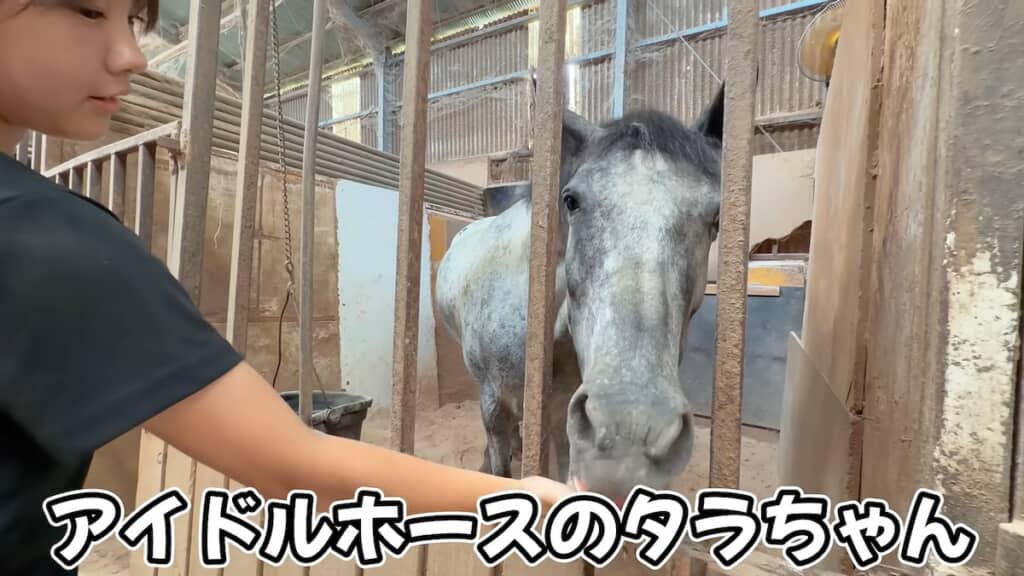食べ方にもそれぞれの個性が現れています
