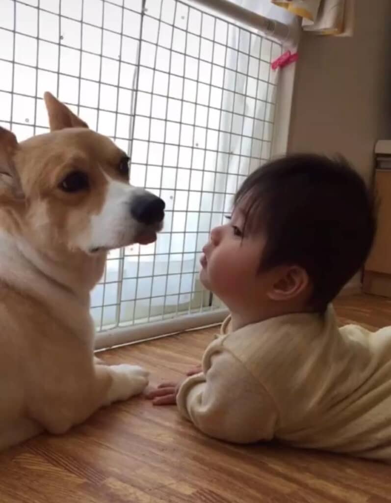 すぐに仲良くなったふたり