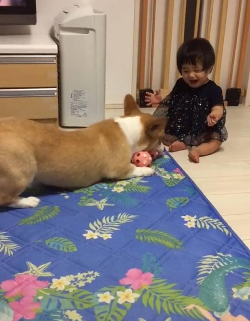 おもちゃ遊びができるように