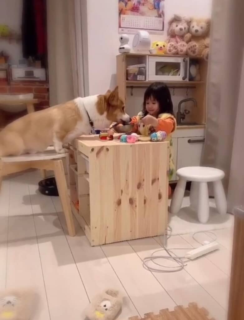 楽しくおままごと