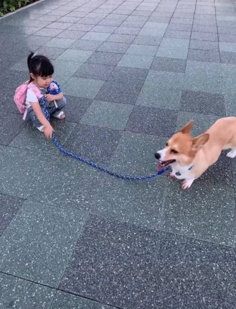 ふたりでお散歩