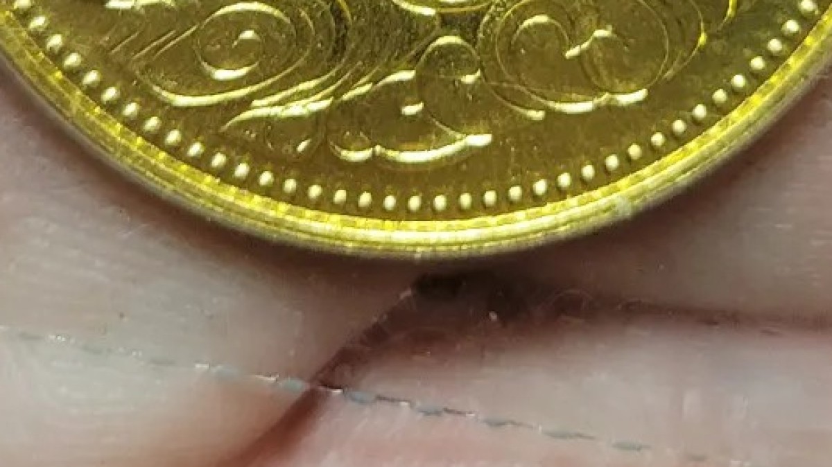 40年前にもらった“硬貨”→調べてみると…… “驚きの正体”に「家宝になさって下さい!」「御利益ありそう」(1/2) | おかね ねとらぼ