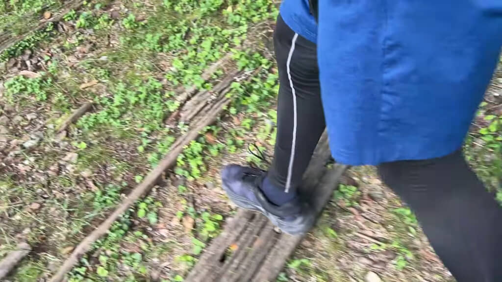 なだらかな下り道も
