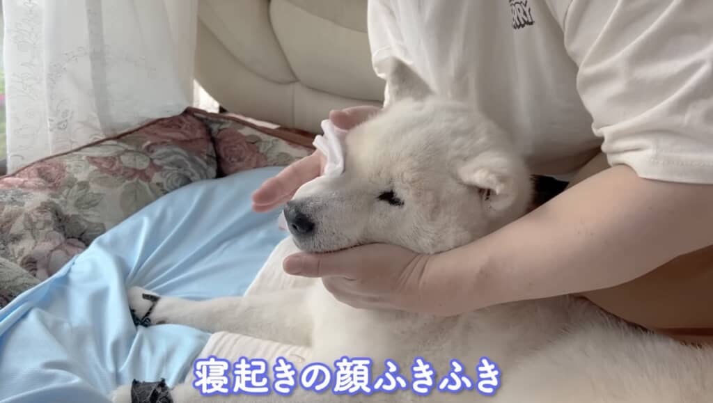 お顔をきれいにしましょう