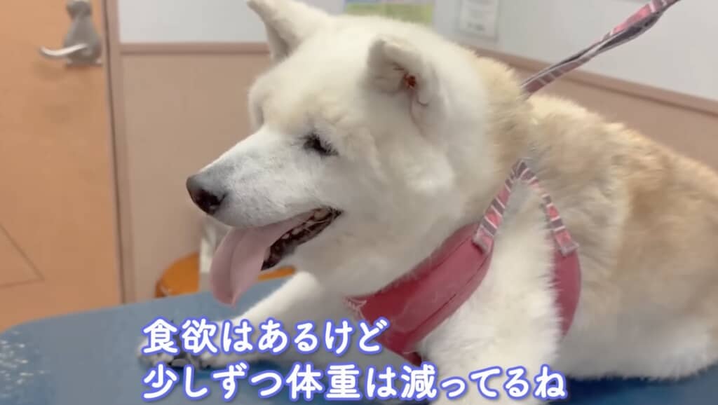10年ぶりに8キロ台に