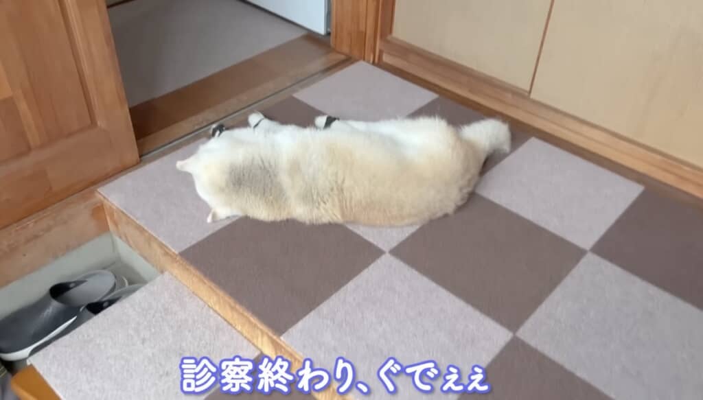 診察が終わってお疲れです