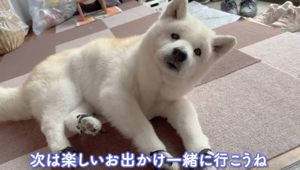 お出かけ楽しみだね！