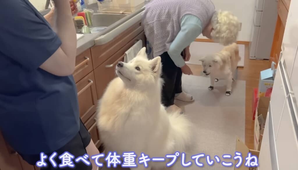 これからもおいしいものたくさん食べようね！