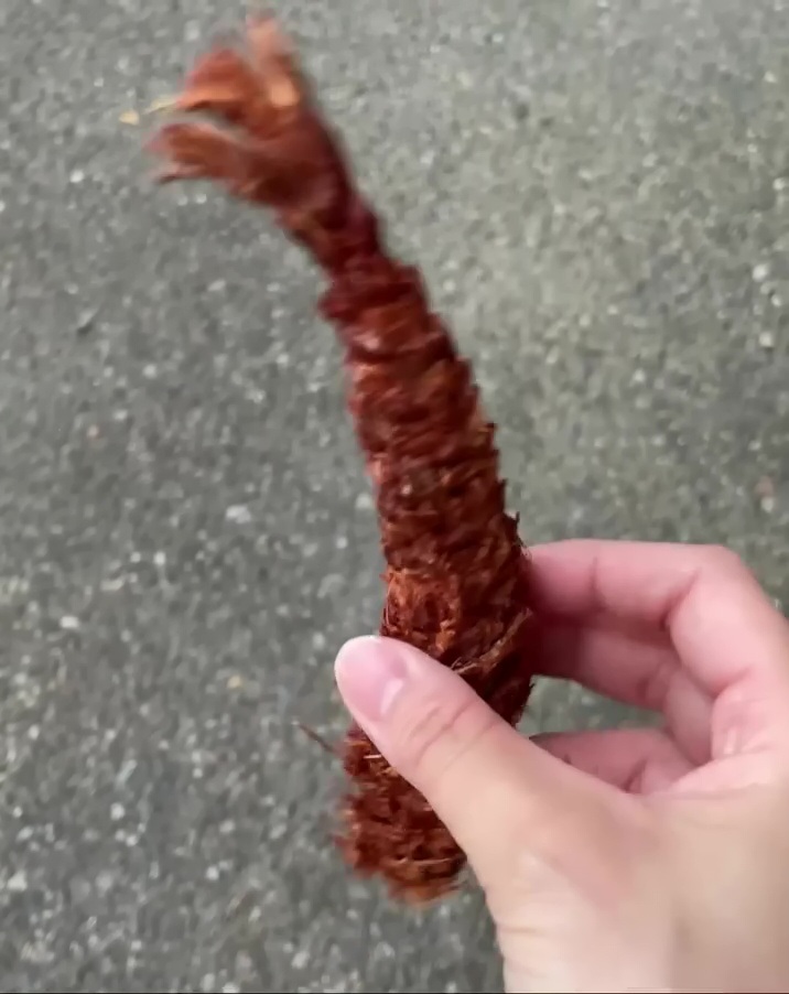 回転させながら撮影したエビフライらしき物体の動画