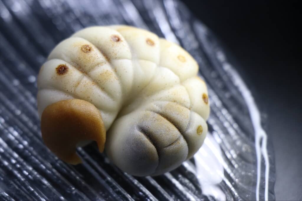 和菓子職人が本気で作ったカブトムシの幼虫の和菓子