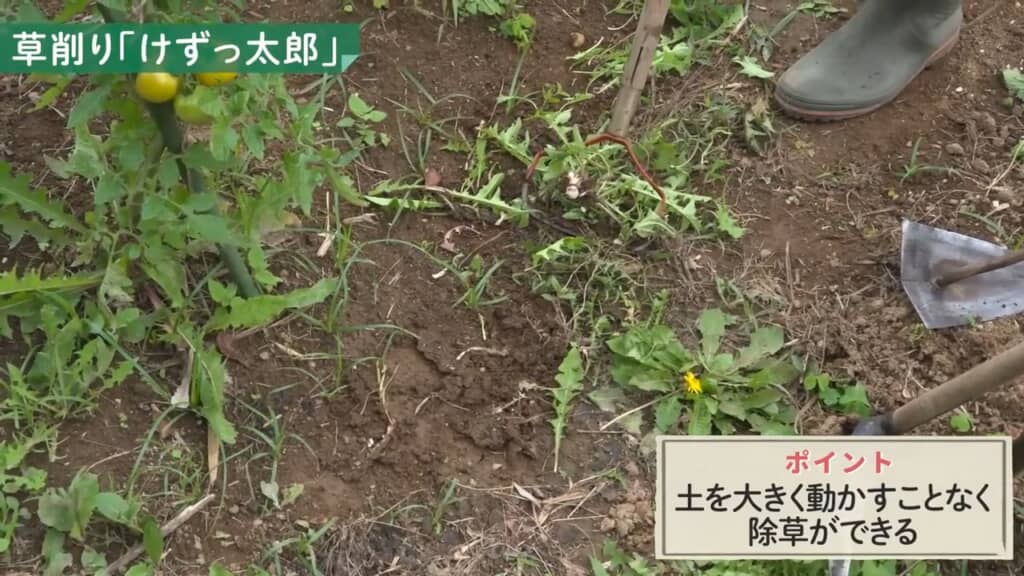 少ない力で草を根から刈れる「草削り」。和田さんは「けずっ太郎」という名の商品を使っています