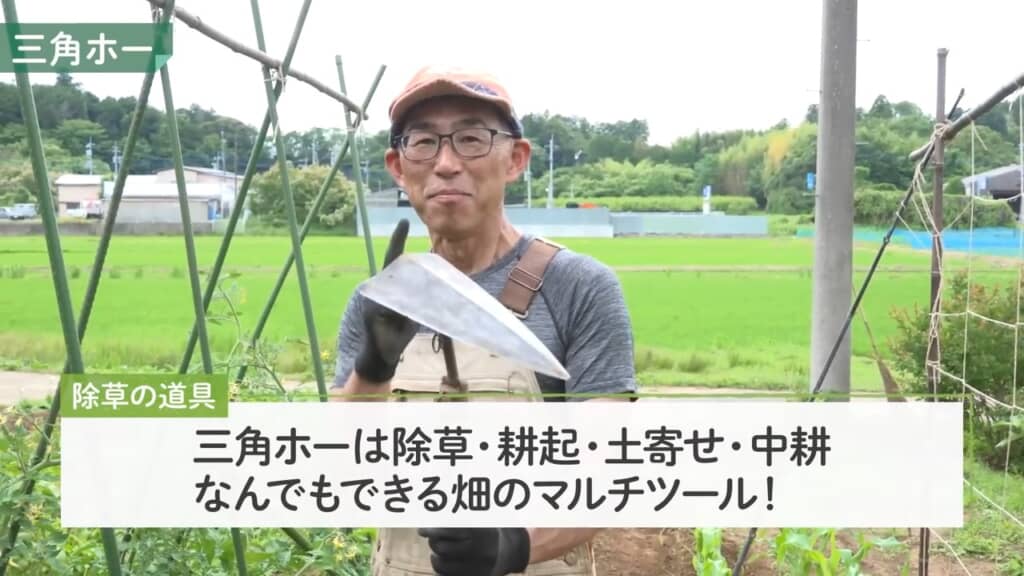 三角形のコテで、削ったり掘ったりいろいろできる三角ホー