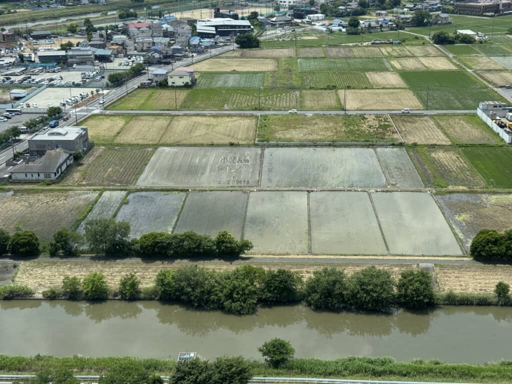 田植えから約1週間後。ほぼ水面しかない田んぼに、アートの片鱗がひっそりと……